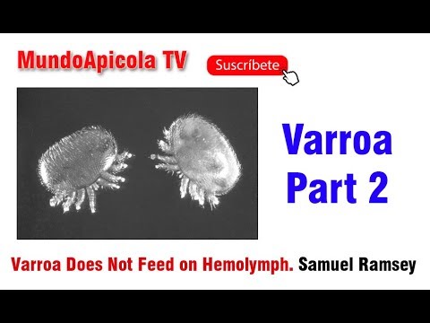 Varroa Does Not Feed on Hemolymph. Samuel Ramsey . Part 2