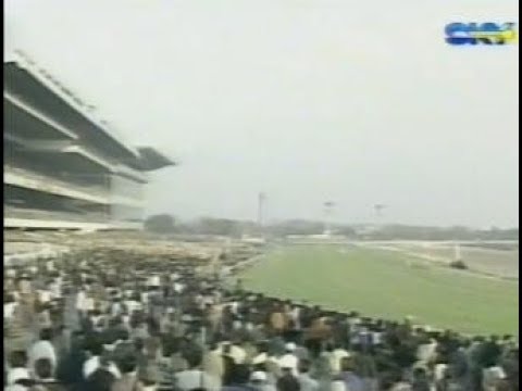 2001 JRA Japan Cup