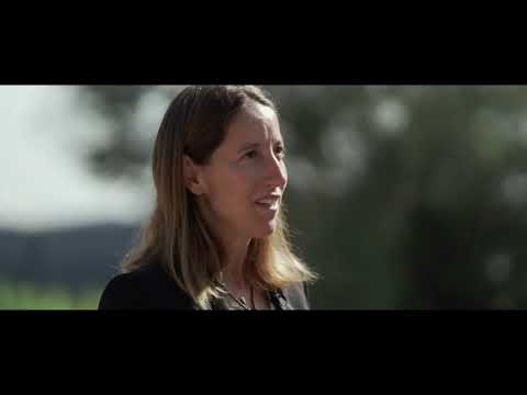 New 2021 Cupra Formentor  _ Test Drive and Sound