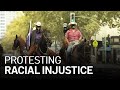 Oakland Demonstrators Bring Horses to Lake Merritt