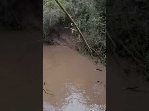 passeio off road mocat arroio do tigre trail hard 300f#offroad #motoroffroad