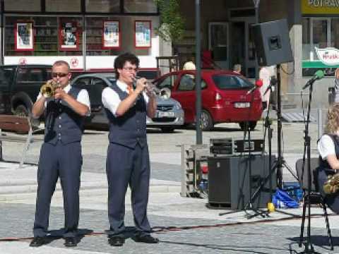 DOM ZUŠ Jeseník - Vladimír Ondráček: Dva delfíni