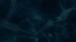 Just Because She Lives There Chalee Tennison Lyrics-Cover