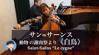 Download lagu サン=サーンス「動物の謝肉祭」より≪白鳥≫(チェロとピアノ版)Saint-Saëns Le cygne mp3 Download lagu サン=サーンス「動物の謝肉祭」より≪白鳥≫(チェロとピアノ版)Saint-Saëns Le cygne mp3