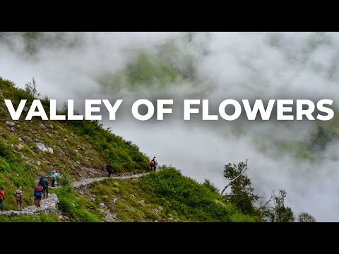 India’s Most Beautiful Trek? 🌸 Valley of Flowers, Uttarakhand (Full Travel Guide) 2025