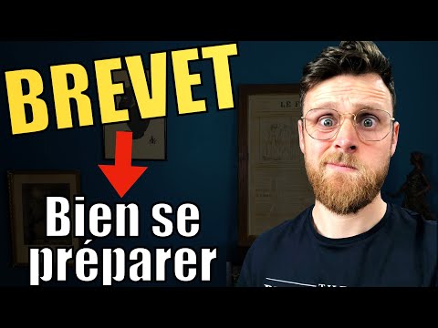 BREVET des COLLEGES : On traite ensemble un sujet de grammaire et la réécriture !