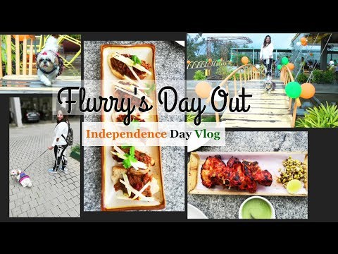 Indian Independence Day 2018 Vlog | New Pet Friendly Restaurant Visit