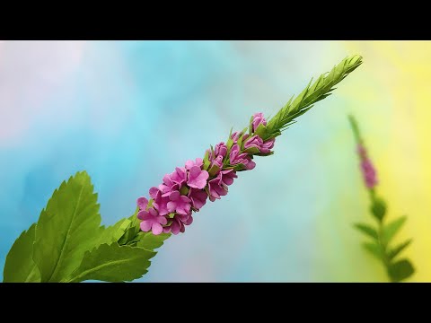 ABC TV | How To Make Verbena Stricta Flower With Shape Punch - Craft Tutorial