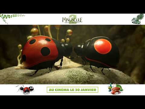 MINUSCULE 2 - Teaser VF