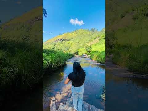 🤍🍃 #foryou #travel #like #nature #follow #love #share #shorts #subscribe #viral #nature #viwes