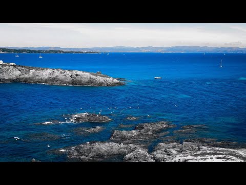 Emil Lassaria ⛌ Dj Sava - Cada Vez | Official Single