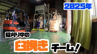 【収穫】稲刈り真っ最中！2025年の臼挽きチーム！【盈科】