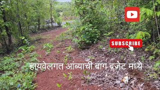 property in budget..#investment #farming #dreamproperty #kokan