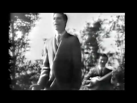 the lion sleep tonight the TOKEN TRUE stereo