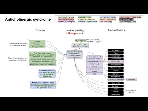 Anticholinergic syndrome (mechanism of disease)