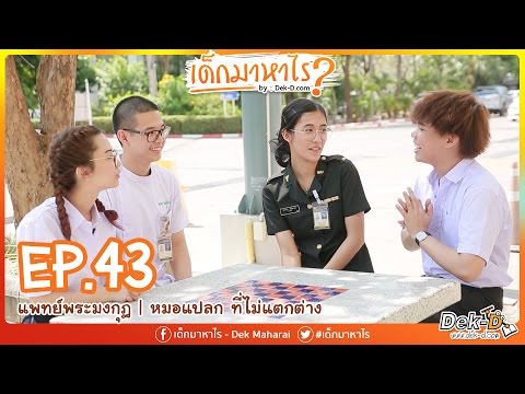 Overabundance ของแรงโปรตีน สูตรสำหรับความแข็งแรงของรากทอง