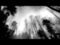 For Against - In the Marshes