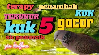 Download lagu TEKUKUR KUK 5 GACOR MASTERAN NAMBAH KUK #burungtekukur #tekukurkuk5 #tekukurkuk3 #tekukur mp3