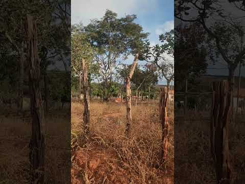 Os Morros Vilarejo! Zona rural de São João da Ponte-mg