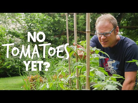 The Clever Way Smart Gardeners Stop Plants Dying