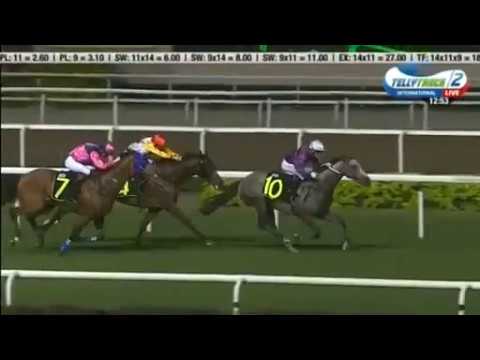 DERRECK DAVID Won On Roar Ranger at Kranji Singapore (13.01.2017)