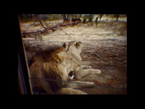 Bullens Lions Park 1973