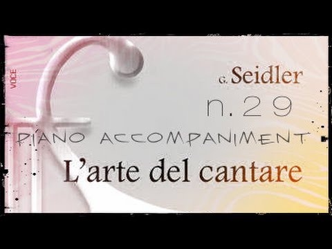 Seidler n.29 - Piano Accompaniment (Play - Along)