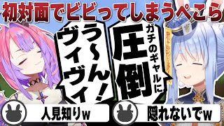 ヴィヴィとの初絡みに人見知りが発動してしまった兎田ぺこら | #ホロクラダイヤ発掘隊 【ホロライブ/兎田ぺこら/切り抜き/綺々羅々ヴィヴィ/音乃瀬奏】 #兎田ぺこら #綺々羅々ヴィヴィ