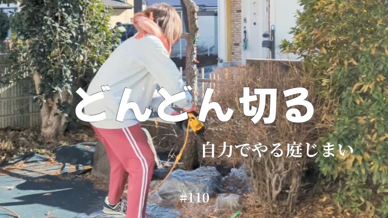 どんどん木を切る 自力でやる庭じまい #110