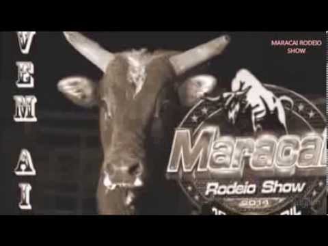Maracai Rodeio Show 2014
