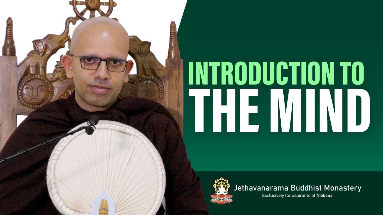 Introduction to the mind