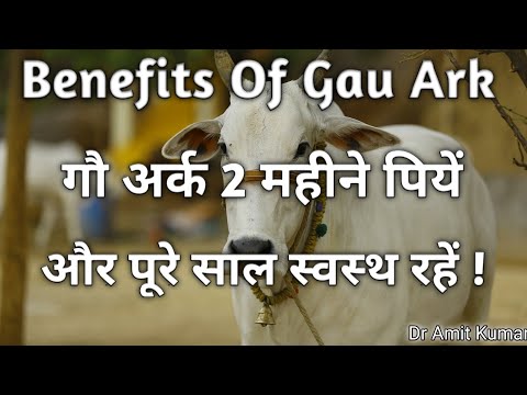 download lagu mp3 mp4 Gau Ark, download lagu Gau Ark gratis, unduh video klip Gau Ark