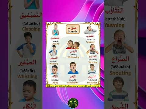 Sounds -  Short Arabic lesson - Increase your  vocabulary  -  #learnarabic #learn_arabic #shorts