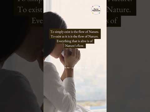 Bayside Meditation in Queens NYC  #meditation #meditationforbeginners  #quote #shorts #shortsvideo