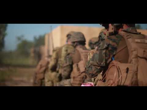 Bleeding Green Rip Reel