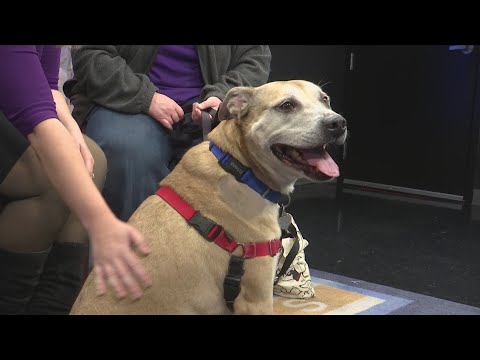 Furry Friends: Meet Clarence - YouTube