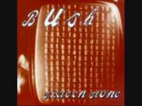 Bush-Comedown