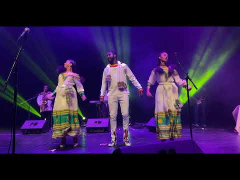 Dagne walle in israel show