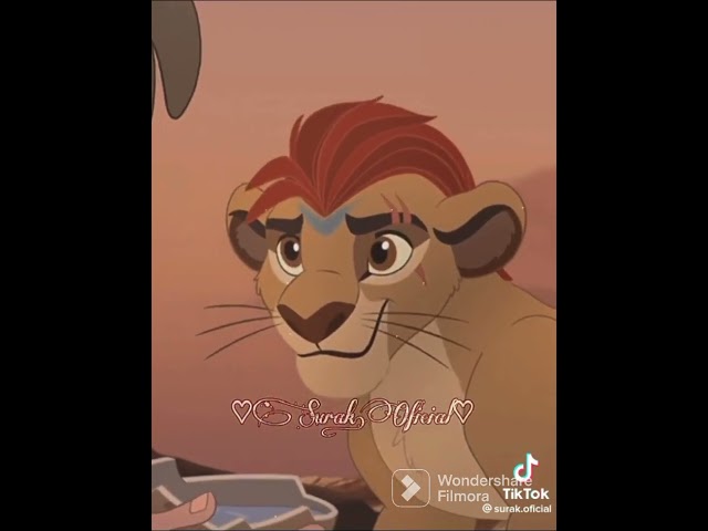 Vídeo relacionado con La filmación del grupo El Rey León de Disney no se preocupe Camiseta