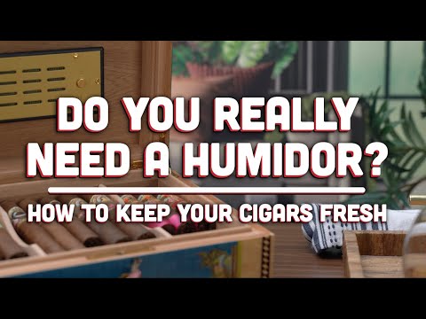 How to Keep Cigars Fresh - Choosing Your First Humidor