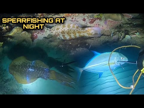 Night Spearfishing Hunting Fresh Seafoods Palawan Philippines Catch and Cook EP 6