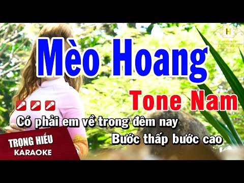 Karaoke Mèo Hoang Tone Nam Nhạc Sống | Trọng Hiếu