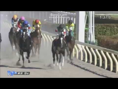 Epicharis (JPN) - 2017 Hyacinth Stakes