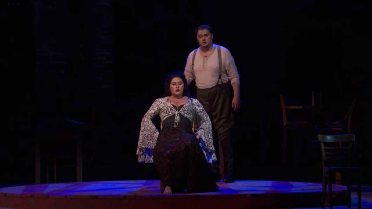 Carmen: "La fleur que tu m'avais jetée" (Antonenko)