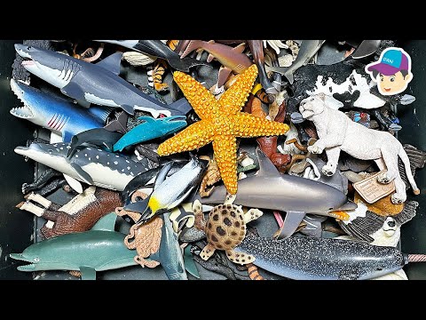 BIG BOX OF SEA ANIMALS, ZOO ANIMALS AND WILD ANIMALS - Shark Whale Lion Horse Starfish Turtle