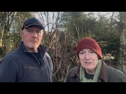 A few gardening jobs at Kate’s @TheLastHomelyHouse