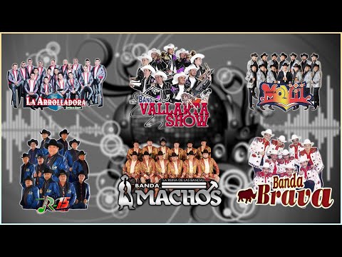 Quebradita mix de los 90s: Banda Maguey - El korita gonzalez y su Banda R-15, Mi Banda El Mexicano