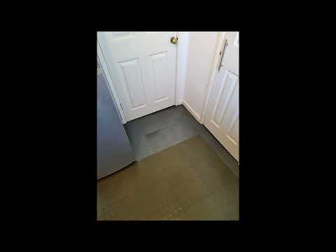 Attila Cleaning LTD video.