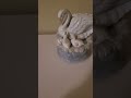Found This Playing A Song From Fnaf 3 Swan Lake And Thought It Looked Cool
