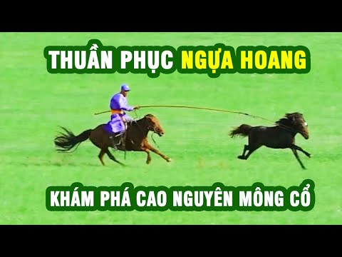, title : 'Khám phá vẻ đẹp Cao nguyên Mông Cổ, cảm hứng thuần phục ngựa hoang | | Khám phá 1a1'